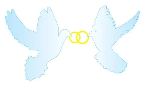 Vector doves with wedding rings Stock-Illustration
