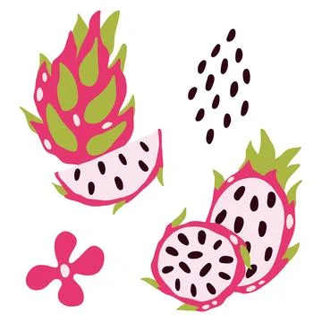 Vector dragon fruit on a light background. Exotic fruit, Pitahaya, set, pie.. Stock Illustration