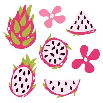 Vector dragon fruit on a light background. Exotic fruit, Pitahaya, set, pie.. Stock Illustration