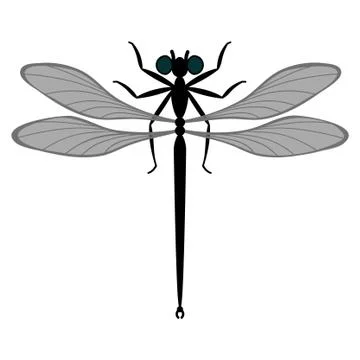 Vector dragonfly Stock Illustration