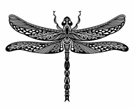 Vector dragonfly on white background. Insect symbol Stock Illustration
