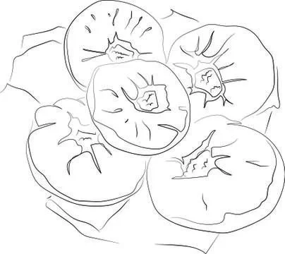 Vector drawing baking. Tatar cuisine peremyachi with meat Stock Illustration