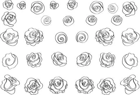 Vector drawing black and white rose background design Stock Illustration