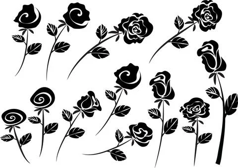 Vector drawing black and white rose background design Stock Illustration