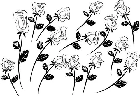 Vector drawing black and white rose background design Stock Illustration