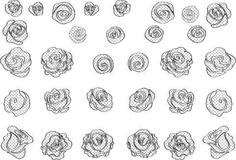 Vector drawing black and white rose background design Stock Illustration