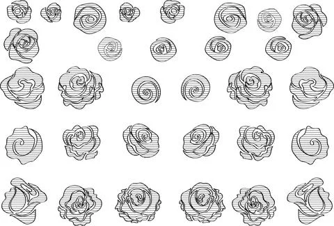 Vector drawing black and white rose background design Stock Illustration