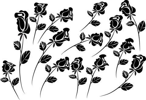 Vector drawing black rose background design Stock Illustration