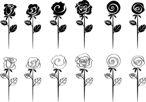 Vector drawing black rose background design Stock-Illustration