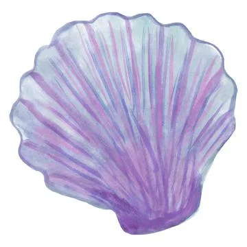Vector drawing of blue and pink scallop shell, stylized as a watercolor Stock Illustration