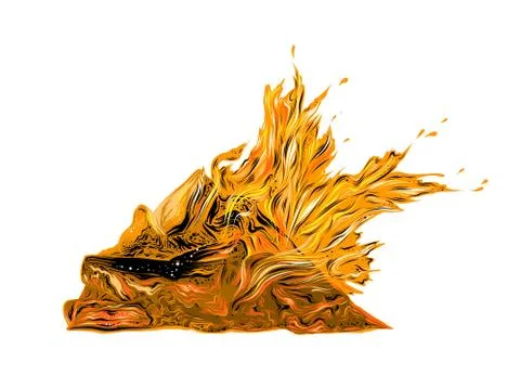 Vector drawing of bonfire in color, isolated on white background. Drawing for Stock Illustration