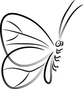 Vector drawing butterfly black and white design icon Stock Illustration