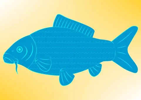 Vector drawing carp fish Stock Illustration
