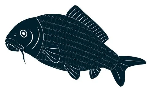 Vector drawing carp fish Stock Illustration