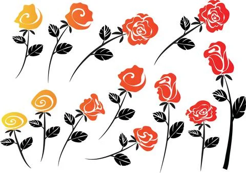 Vector drawing colour rose background design set Stock Illustration