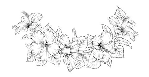 Vector drawing of a frame from hibiscus branches on a black and white background Stock Illustration