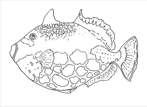 Vector drawing of a hand-drawn black outline of a fish. illustration of a clown Stock Illustration