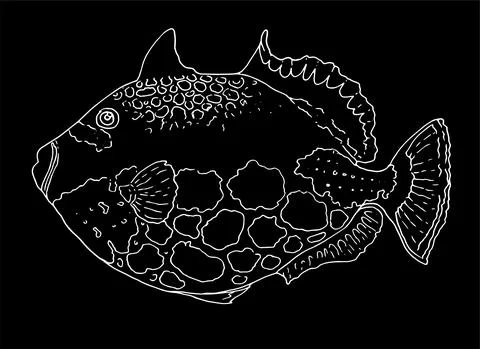 Vector drawing of a hand-drawn white outline of a fish. illustration of a clown Stock Illustration