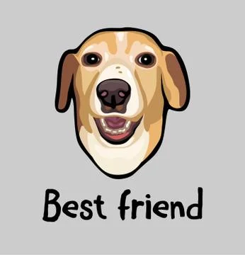 Vector drawing of the head muzzle of a Golden Labrador pet dog Stock-Illustration