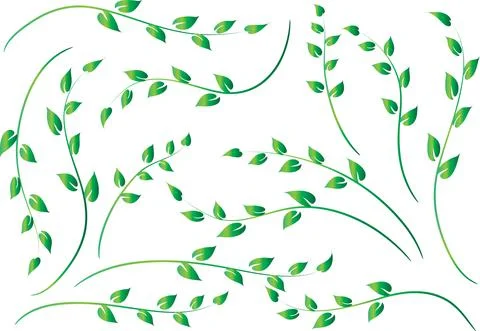 Vector drawing leaf set background Stock Illustration