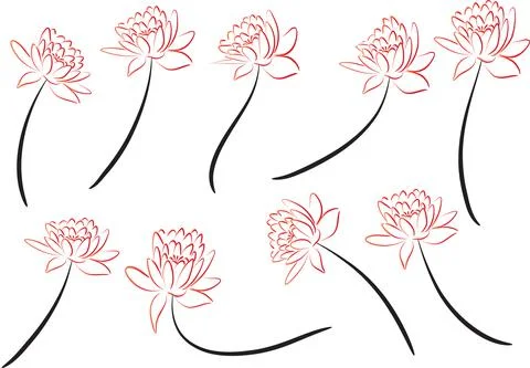 Vector drawing lotus set background Stock Illustration