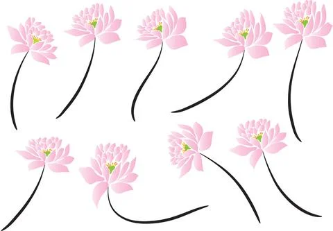 Vector drawing lotus set background Stock Illustration