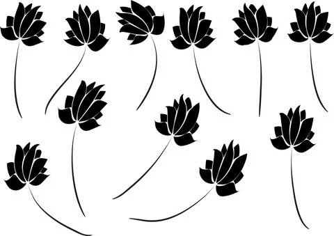 Vector drawing lotus set background Stock Illustration