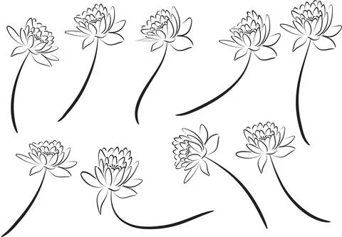 Vector drawing lotus set background Stock Illustration