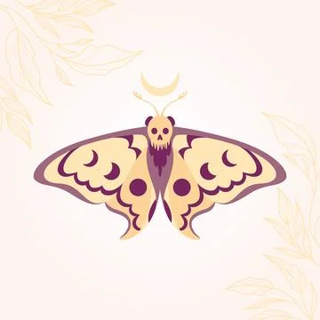 Vector drawing of a night butterfly with a skull. Hawk hawk with a skull. Stock Illustration