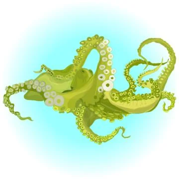 Vector drawing of an octopus/Kraken Stock Illustration