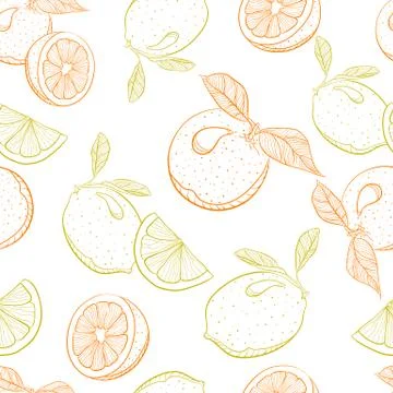 Vector drawing pattern of citrus orange and lemon Stock Illustration