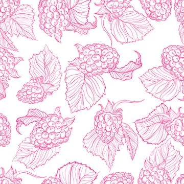 Vector drawing pattern of raspberries Stock Illustration