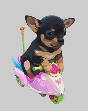 Vector drawing of a pet dog black and brown Chihuahua riding a motorcycle Illustrazione stock