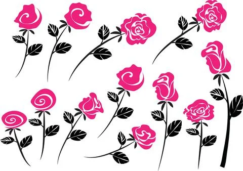 Vector drawing pink rose background design set Stock-Illustration