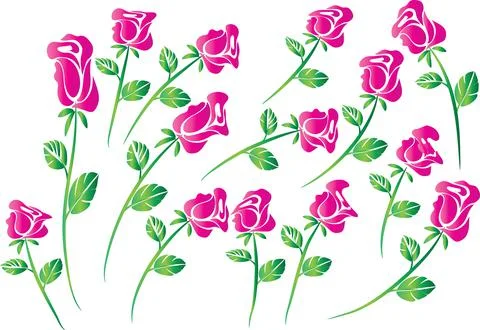 Vector drawing pink rose background design set Stock Illustration