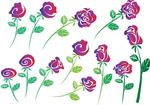 Vector drawing purple rose background design Stock Illustration