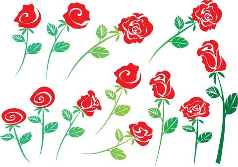Vector drawing red rose background design Stock Illustration