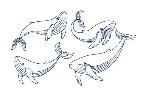 Vector drawing set with whales Stock Illustration