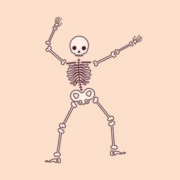 Vector drawing of a skeleton Stock Illustration