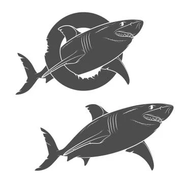 Vector drawing of a terrible shark. Isolated objects on a white. Stock Illustration