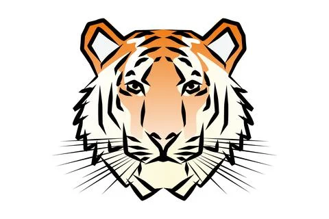 Vector drawing of a tiger Illustrazione stock