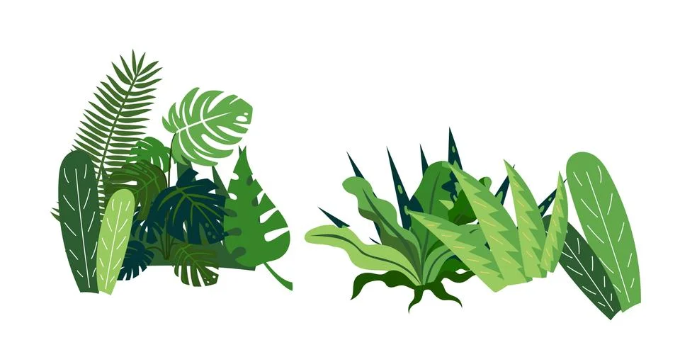 Vector drawing tropical pattern with green leaves, floral border, exotic se.. Stock Illustration