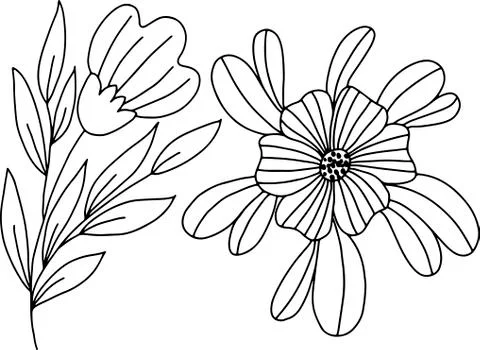 Vector drawing on a white background, flower in a linear style. For the design Stock Illustration