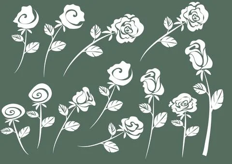 Vector drawing white rose background design Illustrazione stock