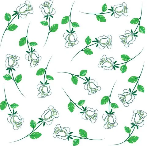 Vector drawing white rose flowers set Stock Illustration