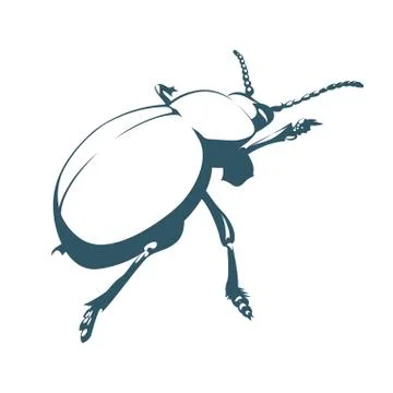 Vector drawn beetle. Isolated on white background. Stock Illustration