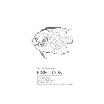 Vector drawn fish. Isolated on white background. Stock Illustration