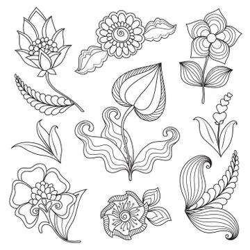 Vector drawn flowers and plants Stock Illustration