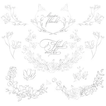 Vector Drawn Plants and Flowers, Wreaths, Corners, Branches Stock Illustration