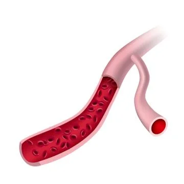 Vector drawn red cell,isolated on white background. Stock Illustration